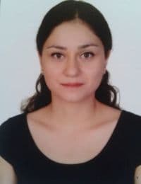 Didem Çevik Ergül