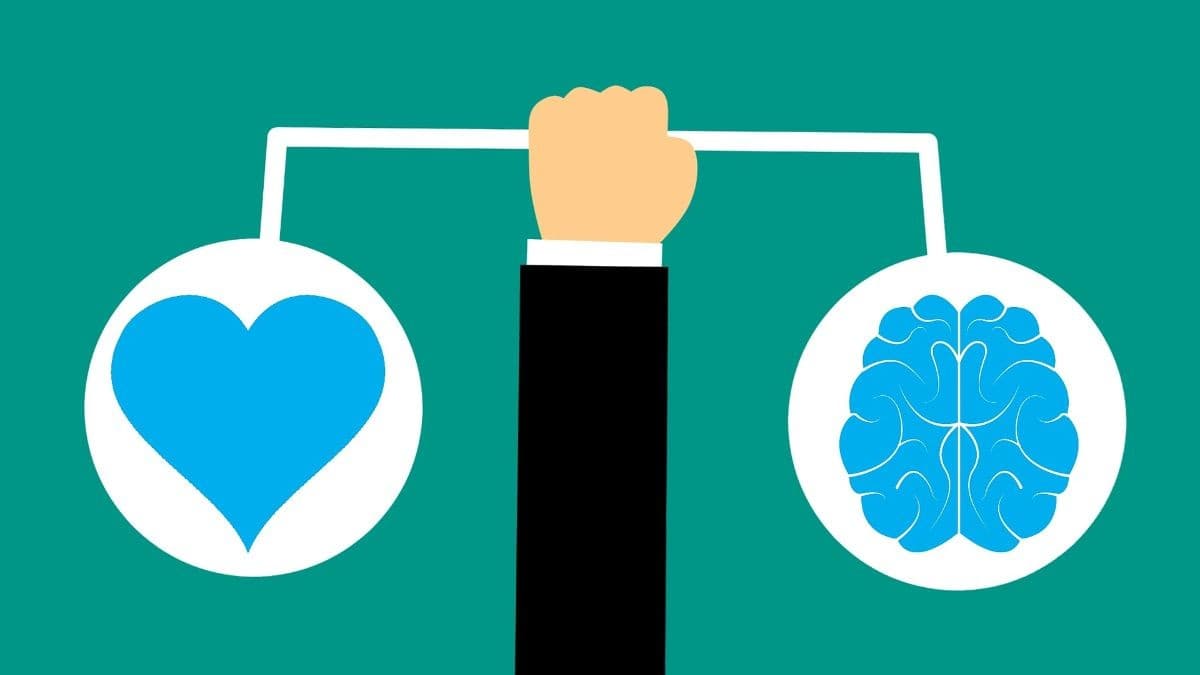 EQ Ne Demek? EQ Nitelikleri Nelerdir?