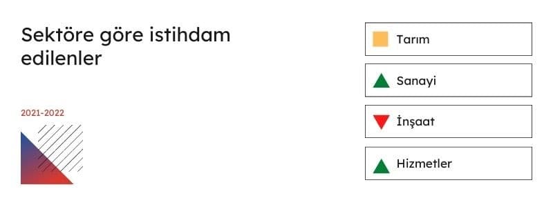 sektöre göre istihdam