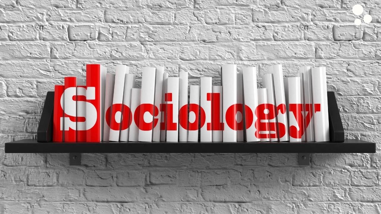Sosyoloji Bölümü Nedir?