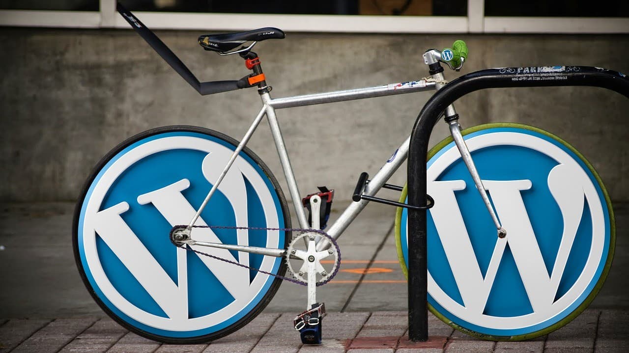 Wordpress Uzmanı Başlangıç Rehberi
