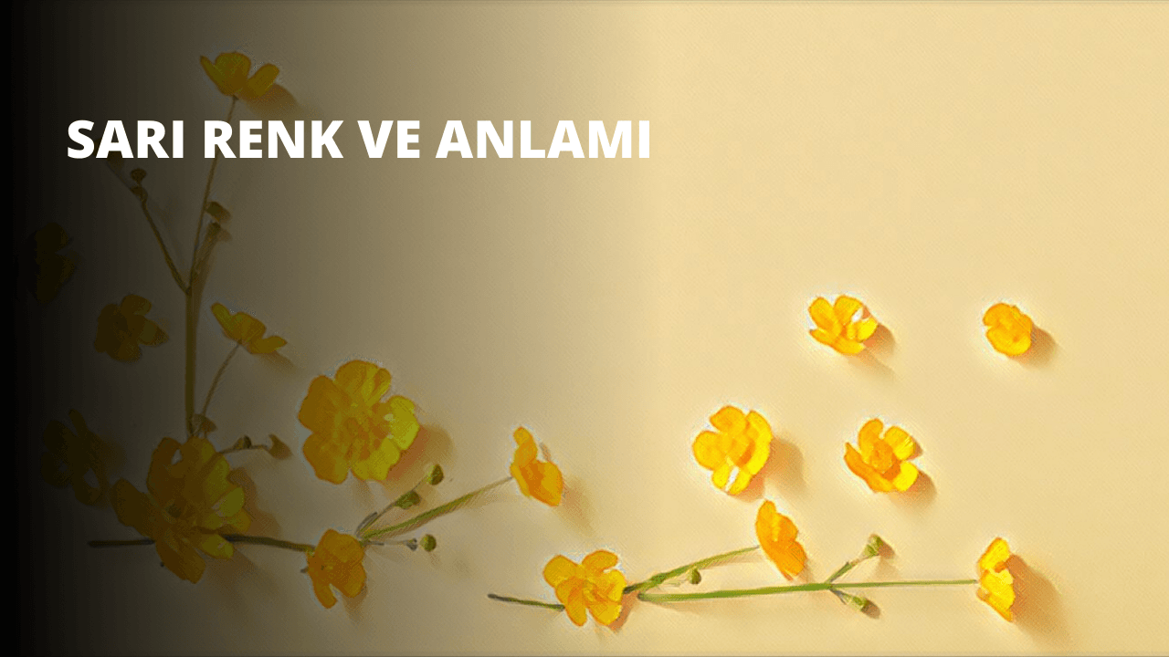 Sarı Renk ve Anlamı 