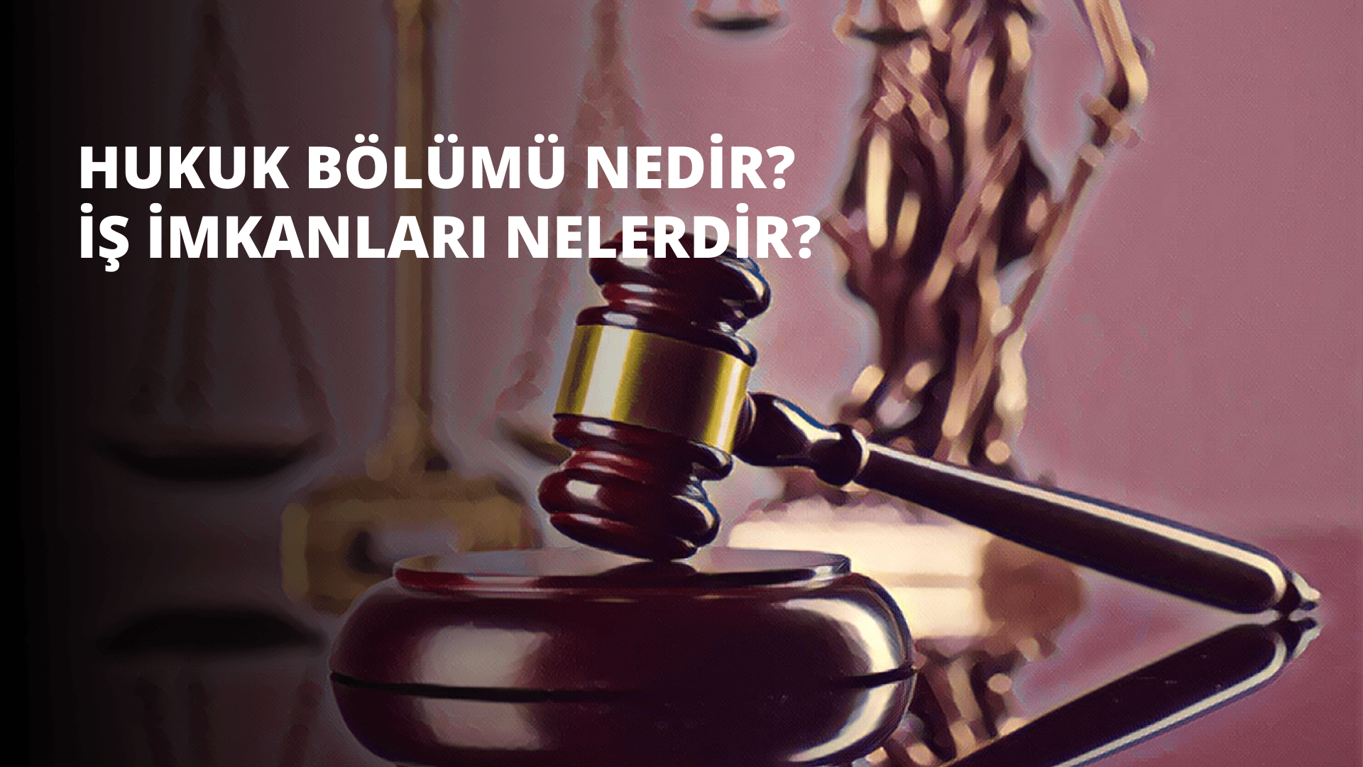 Hukuk Bölümü Nedir? İş İmkanları Nelerdir?