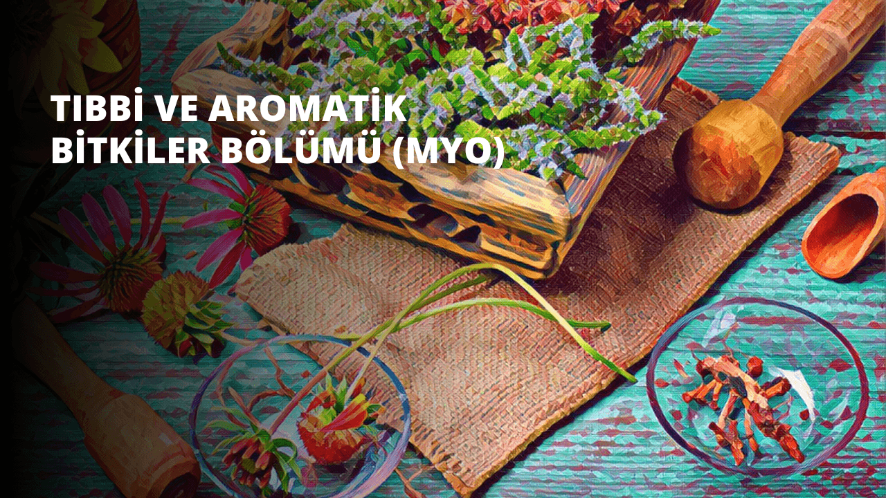 Tıbbi ve Aromatik Bitkiler Bölümü (MYO)