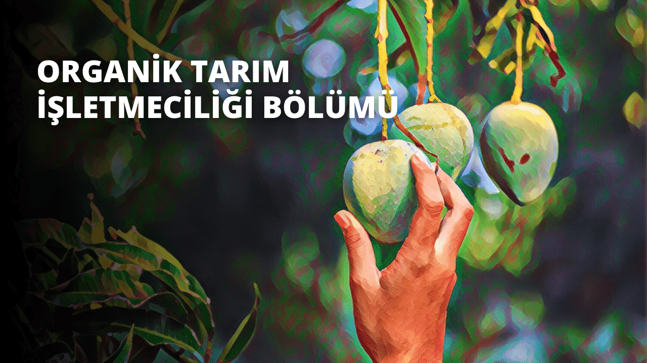 Organik Tarım İşletmeciliği Bölümü 
