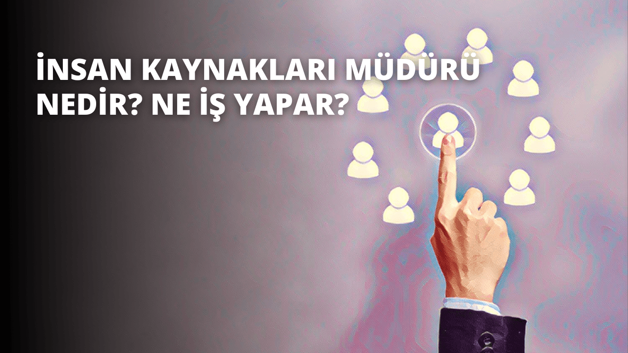 İnsan Kaynakları Müdürü Nedir? Ne İş Yapar?