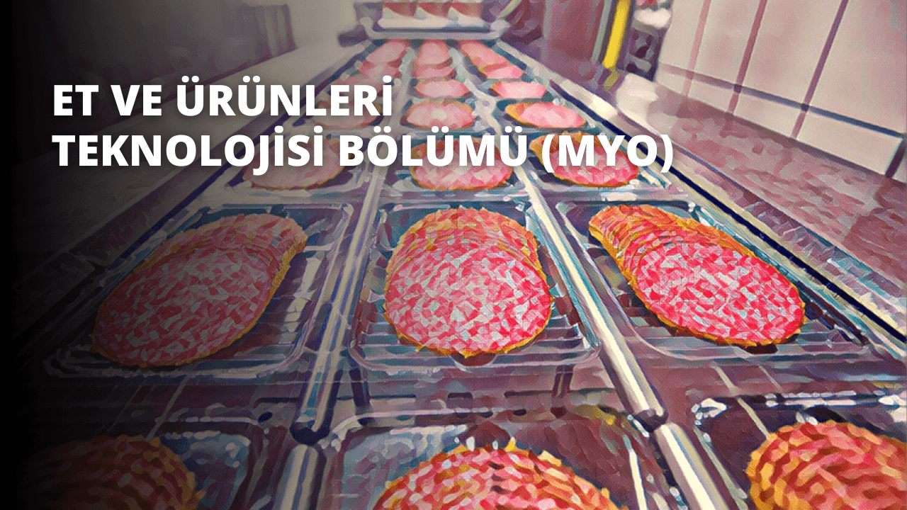 Et ve Ürünleri Teknolojisi Bölümü (MYO)