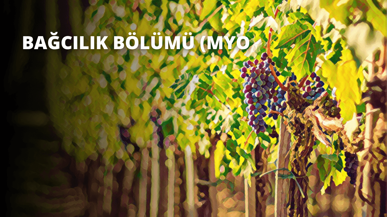 Bağcılık Bölümü (MYO)