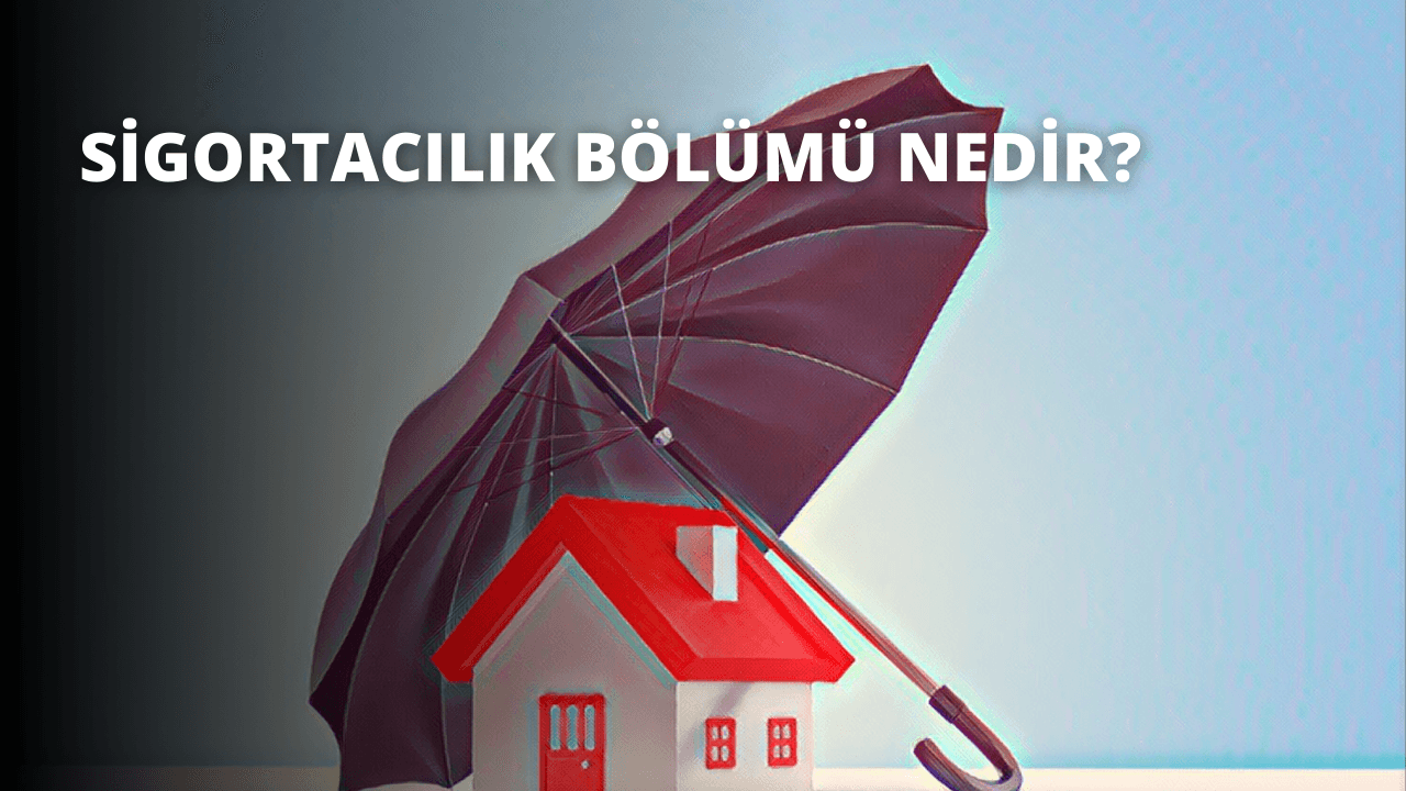 Sigortacılık Bölümü Nedir?