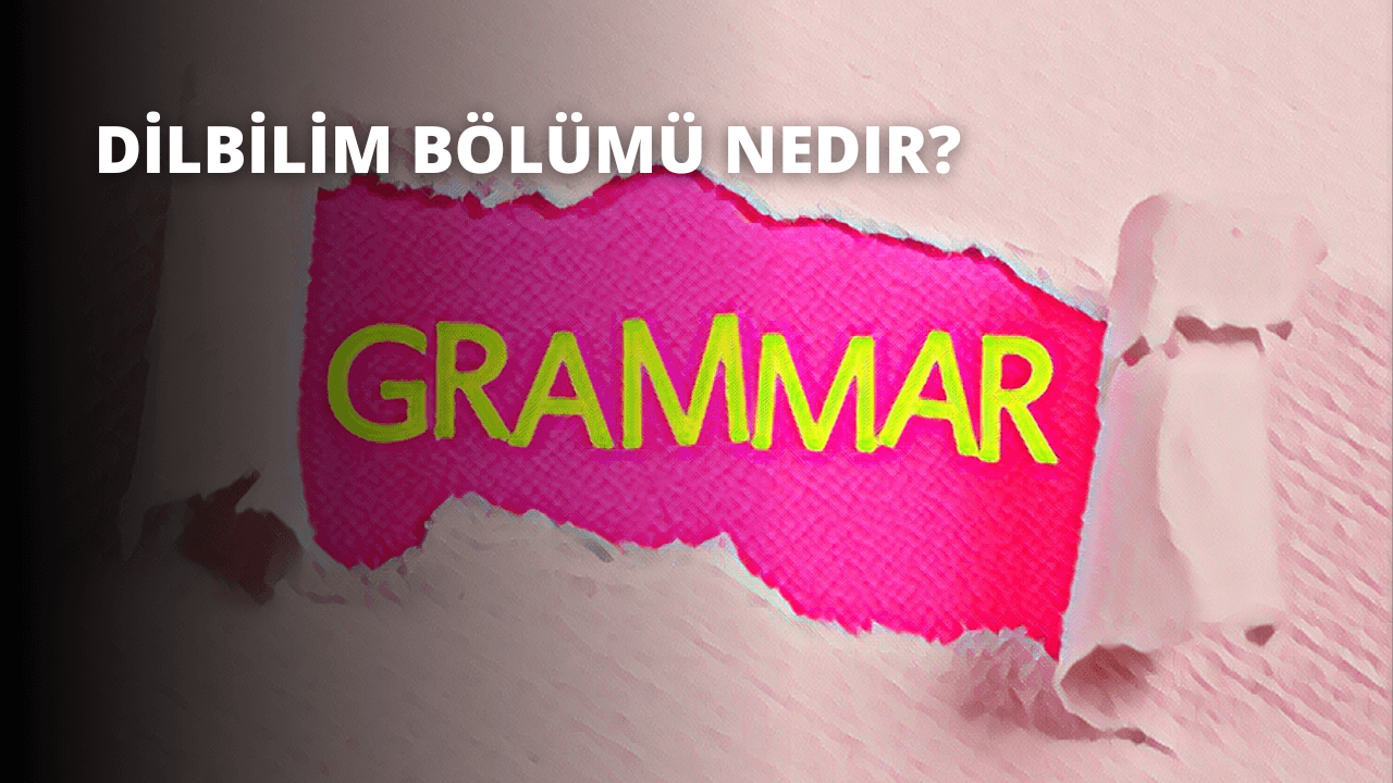 Dilbilim Bölümü Nedir?