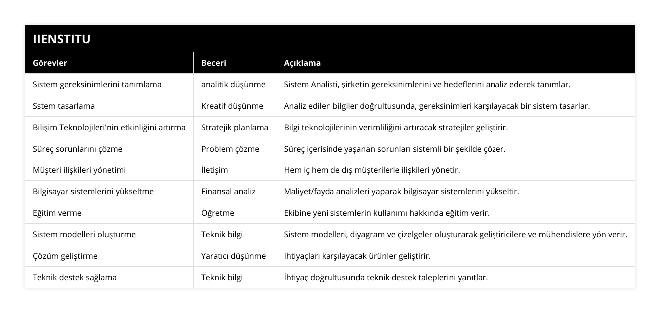 Sistem gereksinimlerini tanımlama, analitik düşünme, Sistem Analisti, şirketin gereksinimlerini ve hedeflerini analiz ederek tanımlar, Sstem tasarlama, Kreatif düşünme, Analiz edilen bilgiler doğrultusunda, gereksinimleri karşılayacak bir sistem tasarlar, Bilişim Teknolojileri'nin etkinliğini artırma, Stratejik planlama, Bilgi teknolojilerinin verimliliğini artıracak stratejiler geliştirir, Süreç sorunlarını çözme, Problem çözme, Süreç içerisinde yaşanan sorunları sistemli bir şekilde çözer, Müşteri ilişkileri yönetimi, İletişim, Hem iç hem de dış müşterilerle ilişkileri yönetir, Bilgisayar sistemlerini yükseltme, Finansal analiz, Maliyet/fayda analizleri yaparak bilgisayar sistemlerini yükseltir, Eğitim verme, Öğretme, Ekibine yeni sistemlerin kullanımı hakkında eğitim verir, Sistem modelleri oluşturme, Teknik bilgi, Sistem modelleri, diyagram ve çizelgeler oluşturarak geliştiricilere ve mühendislere yön verir, Çözüm geliştirme, Yaratıcı düşünme, İhtiyaçları karşılayacak ürünler geliştirir, Teknik destek sağlama, Teknik bilgi, İhtiyaç doğrultusunda teknik destek taleplerini yanıtlar