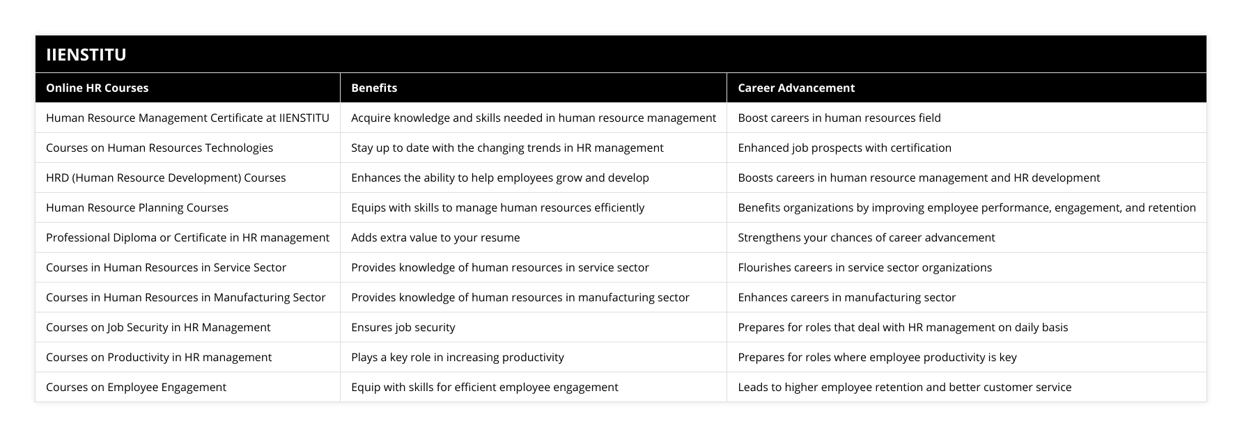 Human Resource Management Certificate at IIENSTITU, Acquire knowledge and skills needed in human resource management, Boost careers in human resources field, Courses on Human Resources Technologies, Stay up to date with the changing trends in HR management, Enhanced job prospects with certification, HRD (Human Resource Development) Courses, Enhances the ability to help employees grow and develop, Boosts careers in human resource management and HR development, Human Resource Planning Courses, Equips with skills to manage human resources efficiently, Benefits organizations by improving employee performance, engagement, and retention, Professional Diploma or Certificate in HR management, Adds extra value to your resume, Strengthens your chances of career advancement, Courses in Human Resources in Service Sector, Provides knowledge of human resources in service sector, Flourishes careers in service sector organizations, Courses in Human Resources in Manufacturing Sector, Provides knowledge of human resources in manufacturing sector, Enhances careers in manufacturing sector, Courses on Job Security in HR Management, Ensures job security, Prepares for roles that deal with HR management on daily basis, Courses on Productivity in HR management, Plays a key role in increasing productivity, Prepares for roles where employee productivity is key, Courses on Employee Engagement, Equip with skills for efficient employee engagement, Leads to higher employee retention and better customer service