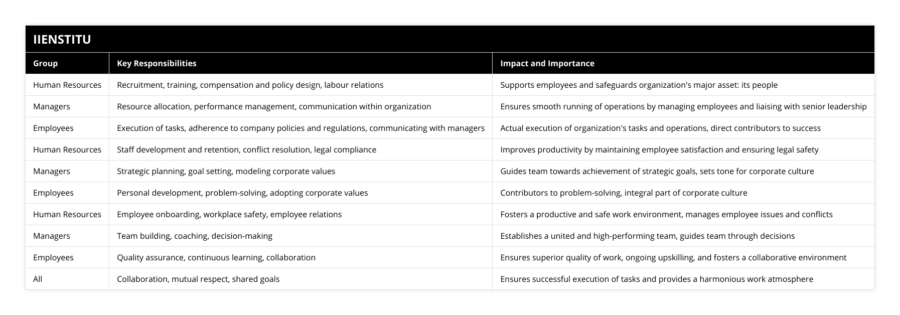 Human Resources, Recruitment, training, compensation and policy design, labour relations, Supports employees and safeguards organization's major asset: its people, Managers, Resource allocation, performance management, communication within organization, Ensures smooth running of operations by managing employees and liaising with senior leadership, Employees, Execution of tasks, adherence to company policies and regulations, communicating with managers, Actual execution of organization's tasks and operations, direct contributors to success, Human Resources, Staff development and retention, conflict resolution, legal compliance, Improves productivity by maintaining employee satisfaction and ensuring legal safety, Managers, Strategic planning, goal setting, modeling corporate values, Guides team towards achievement of strategic goals, sets tone for corporate culture, Employees, Personal development, problem-solving, adopting corporate values, Contributors to problem-solving, integral part of corporate culture, Human Resources, Employee onboarding, workplace safety, employee relations, Fosters a productive and safe work environment, manages employee issues and conflicts, Managers, Team building, coaching, decision-making, Establishes a united and high-performing team, guides team through decisions, Employees, Quality assurance, continuous learning, collaboration, Ensures superior quality of work, ongoing upskilling, and fosters a collaborative environment, All, Collaboration, mutual respect, shared goals, Ensures successful execution of tasks and provides a harmonious work atmosphere