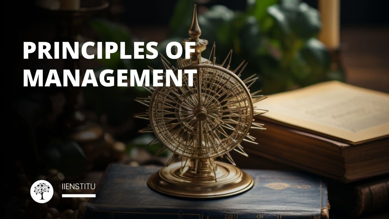 Principles of Management Notes Explained