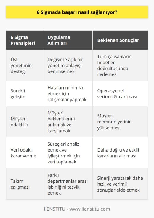 Öncelikle firmaların üst yönetimin desteğini alarak değişime açık olmaları gerekir. Üst yönetimin sürece inanarak liderlik etmesi, çalışan personele göstermesi ve aynı hedef doğrultusunda ilerlemek gerekir.   nde sıfır hata ve    ve sürekli gelişme duygusuyla hareket edilmesi ile başarı sağlanır.