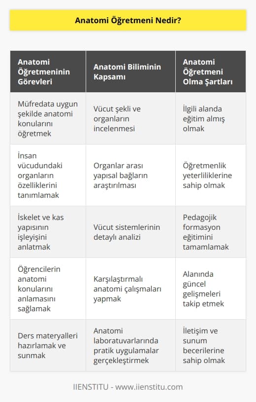 Anatomi öğretmeni vücut şekli, organlar ve organlar arası yapısal bağları inceleyen anatomi bilim dalı konularını müfredata uygun bir şekilde öğrencileri ile paylaşan öğretmenlerdir. İnsan vücudundaki organların ölçüleri, biçimi gibi özelliklerinin tanımlanması, iskelet ve kas yapısının işleyişinin anlaşılması ile ilgili bilgileri öğrencilerine aktarmaktan sorumlu olan kişidir. Gerekli eğitimleri tamamladıktan sonra bu alanda hizmet verebilirler.