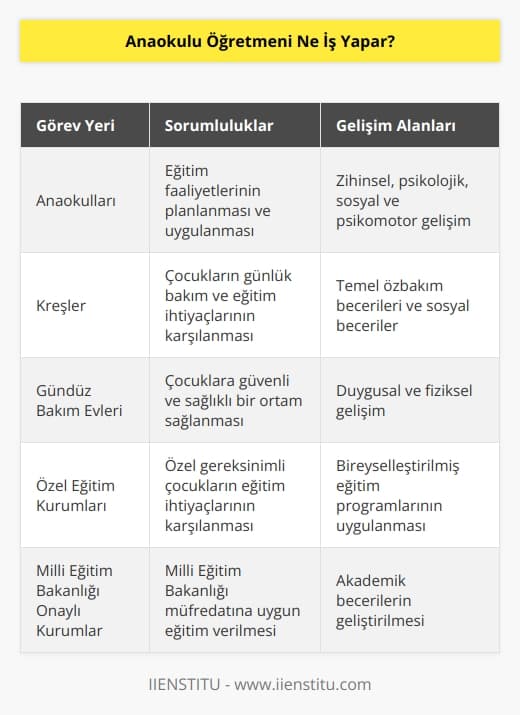 Anaokulu öğretmenleri kamu ya da Milli Eğitim Bakanlığı tarafından onaylanmış özel eğitim kurumlarında görev yapabilirler. Anaokulları, kreşler, gündüz bakım evleri çalışma alanlarıdır. Okul önceki dönemdeki çocukların zihinsel, psikolojik, sosyal ve psikomotor gelişimleri için eğitim faaliyetlerinin planlanması ve uygulamasından sorumludurlar.