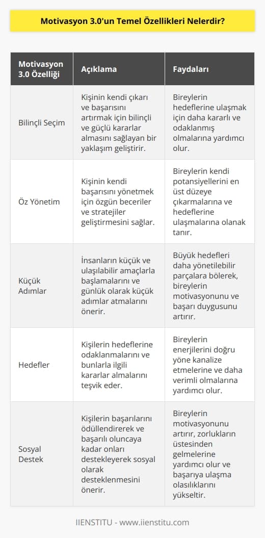 1. Bilinçli Seçim: Motivasyon 3.0, kişinin kendi çıkarı ve başarısını artırmak için bilinçli ve güçlü kararlar almasını sağlayan bir yaklaşım geliştirmektedir.   2. Öz Yönetim: Motivasyon 3.0, kişinin kendi başarısını yönetmek için özgün beceriler ve stratejiler geliştirmesini sağlar.   3. Küçük Adımlar: Motivasyon 3.0, insanların küçük ve ulaşılabilir amaçlarla başlamalarını ve günlük olarak küçük adımlar atmalarını önermektedir.   4. Hedefler: Motivasyon 3.0, kişilerin hedeflerine odaklanmalarını ve bunlarla ilgili kararlar almalarını teşvik etmektedir.   5. Hedef Odaklı Ödüllendirme: Motivasyon 3.0, kişinin başarılarının belirli hedeflere ulaşmak için ödüllendirilmesini teşvik etmektedir.   6. Sosyal Destek: Motivasyon 3.0, kişilerin başarılarını ödüllendirerek ve başarılı oluncaya kadar onları destekleyerek sosyal olarak desteklenmesini önermektedir.   7. Gelecek-Odaklı Düşünme: Motivasyon 3.0, kişinin kendi başarısı hakkında gelecekteki potansiyeline odaklanmasını ve onu yönetmeyi önermektedir.