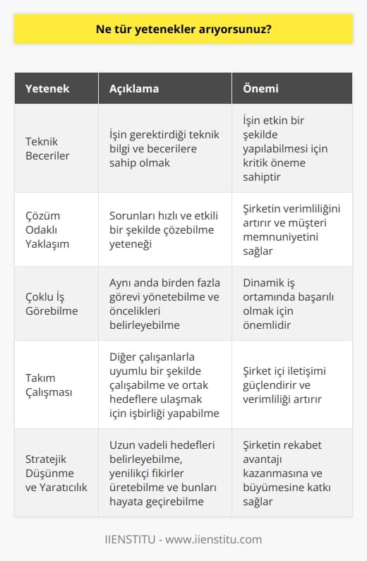 Biz özellikle çalışanlarımızın teknik becerileri, çözüm odaklı yaklaşımı, çoklu iş görebilme yeteneği, takım çalışmasına katılma yeteneği, stratejik düşünme yeteneği ve yaratıcılık aramaktayız.