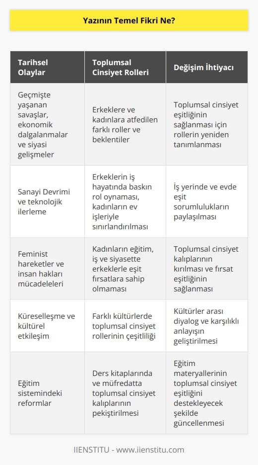 Yazının temel fikri, insanların tarihsel olayların bir sonucu olarak    oynadıklarını ve bunun toplumsal cinsiyet ayrımcılığının önüne geçmek için değiştirilmesi gerektiğini vurgulamaktır.