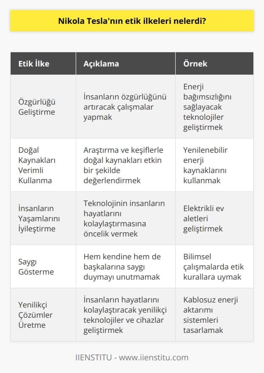 1. İnsanların özgürlüğünü geliştirmeye çalışın.  2.    ve keşif yaparak doğal kaynakları verimli ve etkili bir şekilde kullanın.  3. Teknolojinin insanların yaşamlarını iyileştirmesini sağlamaya öncelik verin.  4. Her insanın kendine saygı göstermesi ve diğer insanları da aynı şekilde saygı göstermesi gerektiğini unutmayın.  5. İnsanların yaşamlarını kolaylaştırmak için yenilikçi teknolojiler ve cihazlar geliştirin.  6. İnsanların hayatlarını geliştirmek için ilham veren fikirler üretin.  7. Elektrik enerjisini etkili ve verimli bir şekilde kullanın.  8. İnsanların hayatlarını kolaylaştırmak için yenilikçi çözümler geliştirin.  9. İnsanların sağlığını ve toplumu iyileştirmek için yenilikçi teknolojiler ve cihazlar bulun.  10. İnsanların hayatlarını iyileştirmek için ekonomik ve sosyal çözümler geliştirin.