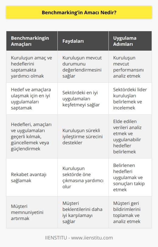 Kuruluşun amaç ve hedeflerini saptamakta yardımcı olmak, Hedef ve amaçlara ulaşmak için en iyi uygulamaları saptamak, Hedefleri, amaçları ve uygulamaları geçerli kılmak,   nü değiştirmek veya güçlendirmek