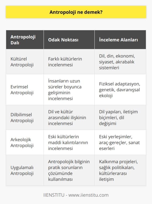 Antropoloji, zaman içinde insanların ve kültürlerin incelenmesidir. Antropologlar tarih boyunca yalnızca bir kültüre veya alana odaklanmazlar, birçok farklı kültüre bakma konusunda uzmanlaşabilecek kültürel antropologlar ve   ların yanı sıra insanlara daha uzun süreler boyunca daha geniş bir bakış açısı getiren evrimsel antropologlar vardır. Paylaştığımız temel şey uzmanlıktan bağımsız olarak, insanların hayatlarını bu insanların bakış açısından nasıl yaşadıklarını anlamaya yönelik ilgidir. Antropoloji kursları ekonomi, dil, din, siyaset, akrabalık sistemi ve evlilik kalıpları gibi çeşitli konuları kapsayabilir.