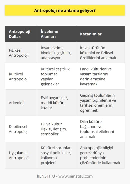 Antropoloji sayesinde, sadece soyu tükenmiş kültürler hakkında her şeyi bilmekle kalmaz, aynı zamanda tarihsel önemlerini de anlarsınız. Pek çok farklı kültürel açıdan bu geniş bilgi duygusu, gezegendeki diğerleriyle onların bakış açılarını anlamada daha derinden empati kurmanıza olanak tanır, bu da onların nasıl daha iyi anlaşılabilecekleri ve etraflarındakiler tarafından nasıl yardım edilebilecekleri konusunda fikir verir!