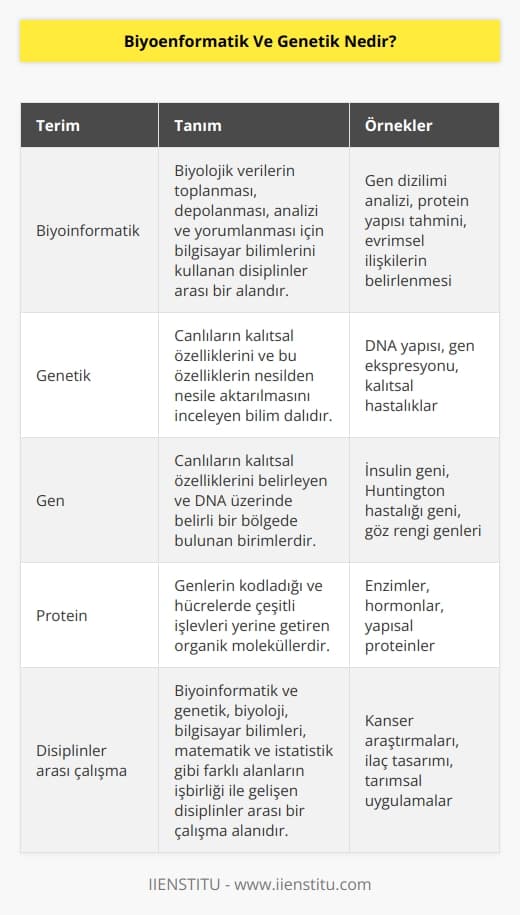 Biyoinformatik ve genetik insan dahil çeşitli türlerde yapılan gen ve protein araştırmalarını informatik alanıyla birleştiren bir bölümdür.