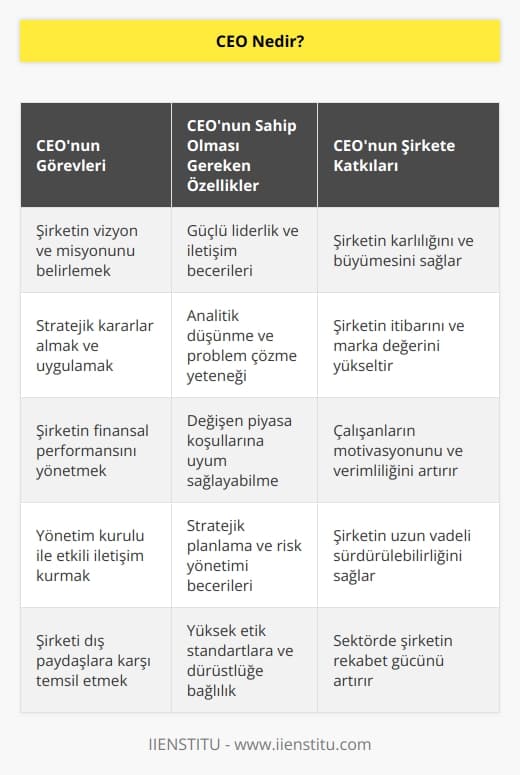 CEO; bir kuruluşun eldeki kaynaklarını en verimli şekilde kullanan, planlayan ve yürüten aynı zamanda karlılığını sağlayan, kuruluşun itibarını yükselten, kuruluşu konumlandıran tüm başarı ve   lardan ilk sorumlu olan kişidir.