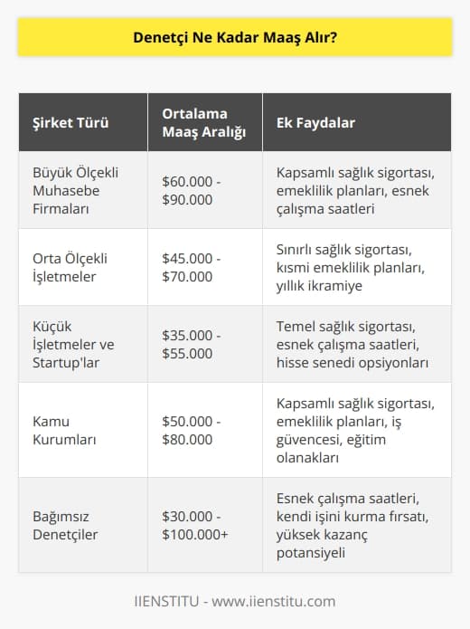 Denetçi maaşları her şirkete göre farklılık gösterir. Bazı şirketler bir denetçiyi ortalama 40.000$ ile 75.000$ arasında bir maaşla ödemektedir.