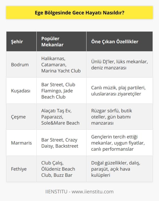 Ege Bölgesinde gece hayatı her şeyden önce, kültürleri, kökenleri ve mekanlarının çok çeşitliliği sayesinde oldukça renkli ve eğlencelidir. Birçok küçük lokal mekanlar, kafeler ve barlar Ege Bölgesinde gece hayatının parçasıdır. Özellikle Bodrum ve Kuşadası gibi popüler tatil beldelerinde gece hayatına katılmak için kalabalık grup halinde gitmek çok popülerdir. Ayrıca, Ege Bölgesindeki mekanlar çoğu zaman canlı müzik ve gösteriler ile öne çıkar. Bu nedenle, Ege Bölgesindeki gece hayatının herkes için çok eğlenceli ve hareketli olduğu söylenebilir.