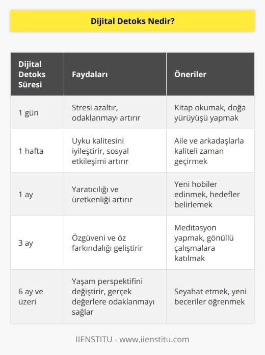 Dijital detoks,   dan belirli bir süreliğine uzaklaşmayı esas alır. Bir süreliğine dan uzak durmak, zihinsel ve bedensel olarak arınmamızı ve iyi hissetmemizi sağlar.
