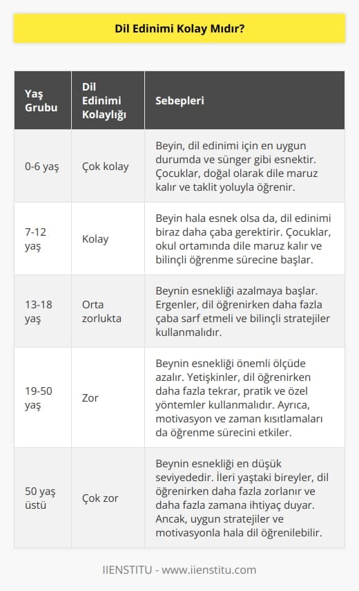 Altı yaşındaki bir çocuk çok rahat bir şekilde 7 dil öğrenebilir. Çünkü beyni o yaşta sünger gibidir ve dil edinimi için en iyi haldedir. Peki yetişkinler neden dil edinirken bu kadar zorlanır?