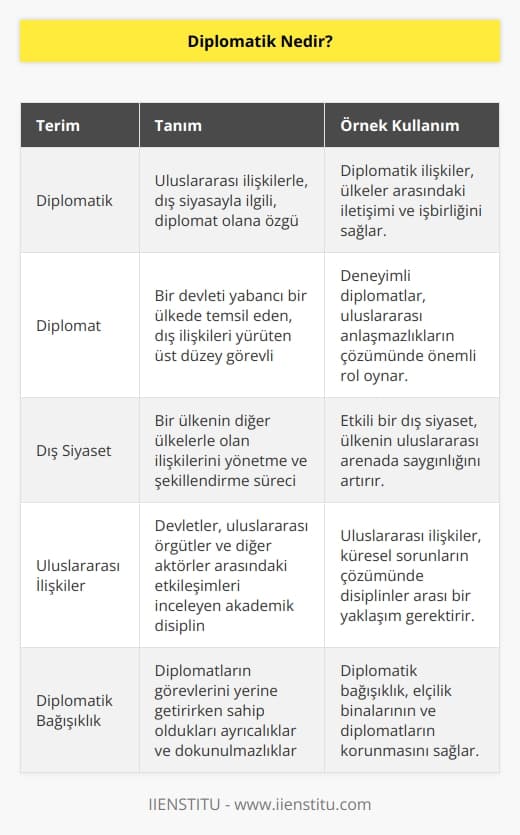 Diplomatik kelimesi Türk Dil Kurumu’nun (TDK) Türkçe sözlüğünde sıfat olarak kabul edilir. Kelime, “uluslararası ilişkilerle, dış siyasayla ilgili”, “diplomat olana özgü.” diye iki farklı şekilde tanımlanır.