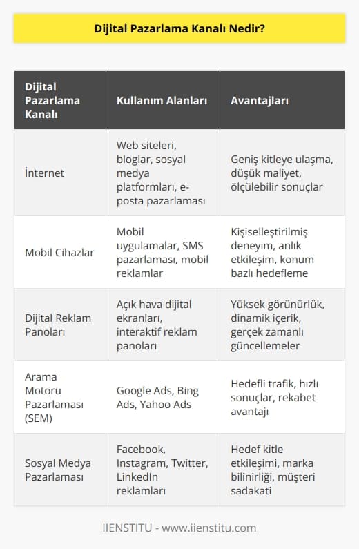 Ürünlerin, markaların bir veya daha fazla elektronik ortam biçimi aracılığıyla tanıtımını içermektedir. Örneğin, bir   nin    stratejisinin bir parçası olarak kullanılabilecek reklam araçları, internet,   , cep telefonları ve elektronik reklam panoları aracılığıyla yapılan tanıtım çabalarını içerebilmektedir. Dijital dünyada yapılan tüm tanıtımlarda kullanılan araçlara Dijital    denir.