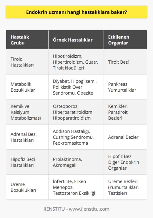 _Endokrin Sistem Hastalıkları_  Endokrin uzmanı, vücudumuzdaki hormon üretimini ve salgılanmasını düzenleyen endokrin sistem organlarının fonksiyonlarıyla ilgili hastalıklara bakar. Bu organlar, tiroit, hipofiz, adrenal, pankreas ve üreme bezleridir.  _Tiroid Hastalıklar_   Endokrin uzmanının en sık karşılaştığı hastalıklar arasında tiroid hastalıkları öne çıkar. Tiroid hastalıklarının başında tiroid bezinin az çalışması (hipotiroidizm) ve fazla çalışması (hipertiroidizm), guatr ve tiroit nodülleri gelir.  _Metabolik Bozukluklar_  Endokrin uzmanı, insülin üreten pankreas bezinden kaynaklanan metabolik bozuklukları tedavi eder. Başta diyabet (şeker hastalığı) olmak üzere hipoglisemi, polikistik over sendromu ve obezite gibi hastalıklar bu kategoriye girer.  _Kemik ve Kalsiyum Metabolizması_  Endokrin uzmanları, kemik ve kalsiyum metabolizmasının düzensizliğine yol açan hastalıklarla da ilgilenir. Bunlar, osteoporoz, hiperparatiroidizm ve hipoparatiroidizm gibi kemik yoğunluğunu ve kalsiyum seviyelerini etkileyen rahatsızlıkları içerir.  _Adrenal Bezi Hastalıkları_  Endokrin uzmanı, adrenal bezinin fonksiyon bozukluklarından kaynaklanan hastalıklarla da ilgilenir. Bunlar arasında Addison hastalığı, Cushing sendromu ve feokromasitoma gibi hormon düzensizliklerini içeren hastalıklar yer alır.  _Hipofiz Bezi Hastalıkları_  Hipofiz bezi hastalıkları, endokrin uzmanının önemli çalışma alanlarından biridir. Hipofiz bezi, vücuttaki diğer organların işleyişini düzenleyen hormonları salgılar. Bu nedenle hipofiz bezi hastalıkları, diğer endokrin sistemi bileşenlerini de etkiler. Örnek olarak, prolaktinoma ve akromegali gibi hastalıkları sayabiliriz.  _Üreme Bozuklukları_  Son olarak endokrin uzmanı, üreme bezlerinin hormon düzenlemesi ile ilgili sorunları da ele alır. İnfertilite, erken menopoza neden olan hastalıklar ve erkeklerde testosteron eksikliği gibi üreme sağlığını etkileyen rahatsızlıklar bu alana dahildir.