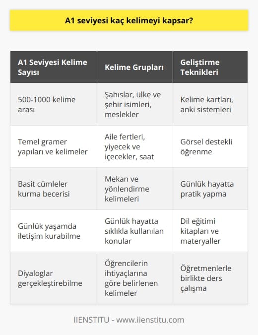A1 Seviyesi Kelime Dağarcığı  A1 seviyesi, Avrupa Dil Portföyü tarafından belirlenen altı seviyeli dil öğrenme sistemine göre, temel dil becerilerini kazanmış olan öğrencilerin dil seviyesidir. Bu seviyede, öğrencilerin günlük hayatta ihtiyaç duydukları kelimeler ve ifadeler üzerinde durulur.   A1 Seviyesinde Öğrenilen Kelime Sayısı  A1 seviyesi öğrencileri için önerilen kelime sayısı yaklaşık 500den başlayarak 1000 kelimeye kadar çıkabilir. Bu sayede, öğrenciler temel gramer yapılarını ve kelimeleri kullanarak basit cümleler kurabilir ve günlük yaşamda karşılaşılan durumlarla ilgili diyaloglar gerçekleştirebilirler.   Konulara Göre Kelime Grupları  A1 seviyesindeki öğrenciler için kullanılacak olan kelimeler, günlük hayatta sıklıkla kullanılan konulara göre gruplandırılır. Şahıslar, ülke ve şehir isimleri, meslekler, aile fertleri, yiyecek ve içecekler, saat, mekan ve yönlendirme kelimeleri bu grupta yer alır.   Önerilen Kaynaklar ve Materyaller  A1 seviyesindeki öğrencilere yardımcı olabilecek pek çok dil eğitimi kitabı ve materyal bulunmaktadır. Öğrenciler, bu kaynaklardan yararlanarak hem kendi başlarına çalışma hem de dil öğretmenleri ile birlikte ders çalışabilirler.   Geliştirme Teknikleri ve Stratejileri  A1 seviyesine ulaşmış öğrenciler için, kelime dağarcığını geliştirmek ve öğrenilen kelimeleri pekiştirebilmek amacıyla farklı çalışma teknikleri ve stratejileri kullanılmalıdır. Kelime kartları, anki sistemleri, görsel destekli öğrenme ve günlük hayatta pratik yapma gibi yöntemler bu anlamda etkili olacaktır.   Sonuç olarak, A1 seviyesinde yaklaşık 500 ila 1000 kelime arasında bir kelime dağarcığına sahip olmak, öğrencilere günlük yaşamda rahatça iletişim kurabilme ve basit cümlelerle konuşabilme yetisi kazandıracaktır. Öğrenciler ve öğretmenler, eğitim sürecinde bu seviyeye uygun materyaller ve teknikler kullanarak dil öğrenimini daha verimli bir şekilde gerçekleştirebilirler.