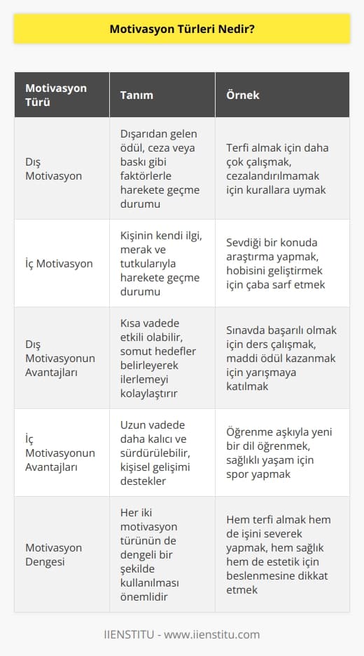 Yaşantımız içerisinde iki farklı motivasyon türü karşımıza çıkar. Bunlar dış motivasyon ve iç motivasyondur.