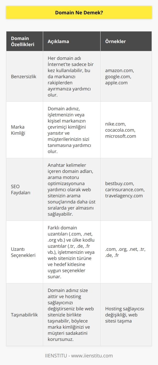 Domain yani alan adı, kullanıcıların web sitenizi ziyaret etmek için tarayıcı URL çubuğuna yazdıkları web sitenizin adresidir. Basit bir ifadeyle, web siteniz bir evse alan adınız da ev adresinizdir. Domain, işletmenizi veya webdeki kişisel markanızı temsil ettiğinden çok önemlidir.