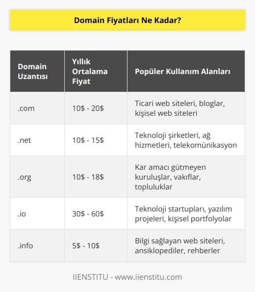 Domain fiyatları her alan adı kayıt şirketinden farklı olabilir. Bazı şirketler ücretsiz domain sunarken, diğerleri ortalama 10 dolardan başlayarak günlük olarak çok sayıda farklı alan adı kayıt seçeneği sunmaktadır.
