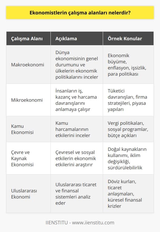 Ekonomistler çeşitli alanlara bakarak, çok sayıda faktörden etkilenen ekonomik süreçleri anlamaya ve öngörmeye çalışırlar. Ekonomistler, dünya ekonomisinin genel durumu üzerinde çalışabilir ve ülkelerin ekonomik politikalarını tasarlayabilir; insanların iş, kazanç ve harcama davranışlarını anlamaya çalışabilir ve kamu harcamalarının etkilerini inceleyebilir; mevcut ekonomik durumu ve trendleri analiz edebilir; çevresel ve sosyal etkilerin ekonomik etkilerini inceleyebilir; ve uluslararası ticaret ve finansal sistemleri anlayabilirler.