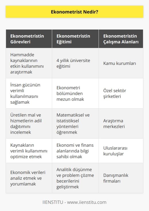 Ekonometrist, hammadde kaynakları ve insan gücünün, insanların ihtiyaçlarını karşılamada etkili bir şekilde kullanılması üzerine çalışmalar yapar. Üretilen mal ve hizmetlerin uygun koşullara göre bölüşülmesi ve bu kaynakların verimli olarak kullanılması konuları çerçevesinde ekonomi alanında araştırma faaliyetlerinde bulunur. Bu alanda    olan kişiler 4 yıllık ekonometri eğitimin tamamlamaları gerekiyor.