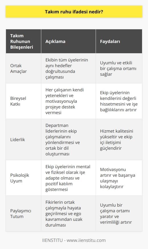 Takım Ruhu İfadesi Nedir ve Başarıya Etkisi  İş hayatında başarılı olmak adına, uyum ve mutluluk önemli konulardır. Takım ruhunun ifadesi, ekiplerin ortak amaçlar doğrultusunda hareket etmesi ve her bireyin kendi yetenekleri ve motivasyonu ile katkı sağlamasıdır. Çok çalışanlı kurumlarda herkesin isteğine göre hareket etmek mümkün olmadığından, yapılan işin bütünlüğü adına takım ruhunun sağlanması gerekmektedir.  Takım Ruhunun Oluşumu  Etkin bir takım ruhu oluşturulan işletmelerde, departmanlar belirli alanlara göre ayrılır ve her departmanda liderler belirlenerek, ekip çalışmaları gerçekleştirilir. Liderler, çalışma planlarını oluştururken, mesleki kurallar ve şahsi tecrübeleri dikkate alarak ortak dil oluşturur. Bu durum, hizmet kalitesinin temel esaslarından biri olan ortak dil olgusunu meydana getirir.  Psikolojik Uyum ve Etkileri  Ekip çalışmasında takım ruhunu sağlamak adına, psikolojik uyum ve pozitif katılım göstermek önemlidir. Takım liderlerinin eşitlikçi bir yaklaşımda olması, motivasyonu olumlu yönde etkiler. Takım ruhunun mihenk taşı ise biz kavramıdır ve bireysel bir yaklaşıma yer yoktur. Mental ve fiziksel olarak yapılan işe adapte olunmalı, başarılar ve başarısızlıklar ortak ürün olarak kabul edilmelidir.  Paylaşımcı ve Ego Kavramından Uzak Tutum  Ekip çalışmasında takım ruhunu oluşturan temel faktörlerden bir diğeri, paylaşımcı ve ego kavramından uzak tutumdur. Tüm fikirler, ekibin ortak çalışması ile yürürlüğe girer ve fikir sahibinin de biz algısını sürekli sürdürmesi gerekir. Bireysel ve egoist yaklaşımlar, takım çalışmasında başarıyı engellemekte ve uyum sorunlarına yol açmaktadır.  Sonuç olarak, iş hayatında takım ruhunun ifadesi, uyumlu ve mutlu bir çalışma ortamıdır. Takım çalışmasında her birey, yeteneklerini ve motivasyonunu kullanarak başarıya katkı sağlar. Bu durum, iş verimliliğini arttırarak şirketin başarı ve rekabet düzeyini yükseltir.