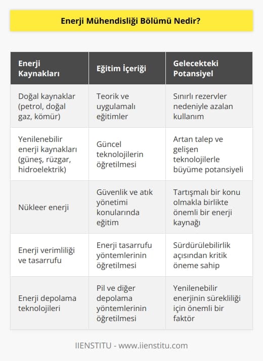 Enerji mühendisliği bölümü, dünyada var olan doğal kaynakların ve insan gücüyle oluşturulacak yapay kaynakların enerjiye dönüştürmek için belli metotların hem uygulamalı hem de teorik olarak eğitimlerin verildiği branştır. Eğitimlerle beraber öğrencilerin halihazırda bulunan enerji kaynakları gösterilmektedir. Buna ek olarak gelecekte oluşacak yenilenebilir enerji kaynaklarının da öğrencilere öğretildiği alandır. 