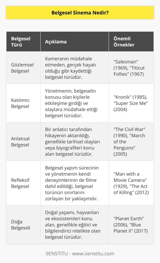 Belirli konular üzerinde yapılan araştırmaların sonuçlarının estetik kaygılarla seyirciye yansıtılmasına dayanan bir sinema türüdür.
