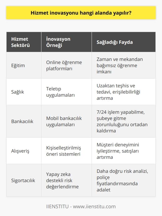 Hizmet inovasyonu geniş bir yelpazeyi içine alır. Bu eğitim, sağlık, bankacılık, alışveriş, temizlik, güvenlik sigortacılık gibi birçok alanı kapsar. Hayatın her alanındaki hizmeti kapsar.