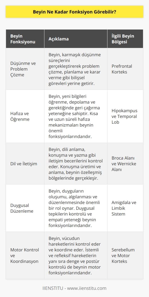 Beyin çok yönlü ve karmaşık bir fonksiyon görebilme yeteneğine sahip. Beyin, düşünme, öğrenme, anımsama, konuşma, hareket etme, çevresel algılama ve duyu işlevleri gibi alanlarda çok sayıda fonksiyonu çalıştırabilir. Beyin aynı zamanda duyguları, öz-bilinci ve karar vermeyi de tetikleyebilir. Beynin gördüğü her görev için özel olarak uyarlanabilen ve öğrenme kabiliyeti olan bir özelliği vardır. Bu, beyinin neredeyse sonsuz fonksiyonu görebilme kapasitesine sahip olduğu anlamına gelir.