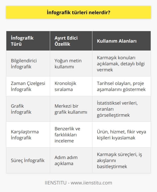 Bilgilendirici infografik, diğer infografik türlerine kıyasla ortalamanın üzerinde metin kullanımı ile ayırt edilir. Zaman çizelgesi infografik, olayları veya eylemleri   k sırada gösterir. Grafik infografik içerisinde bilgiyi görselleştirmenin merkezi olarak bir grafik bulunur ve son olarak karşılaştırma infografik ise iki veya daha fazla ürün, konum, olay, eylem, fikir veya birey arasındaki benzerlikleri ve farklılıkları inceler.