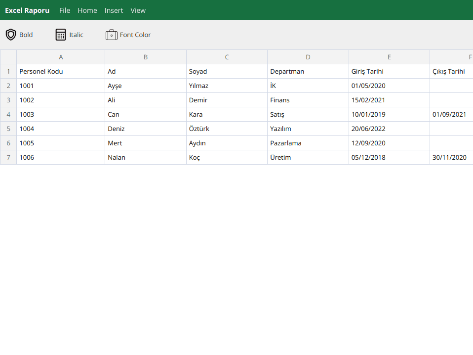 İK Giriş Seviyesi Excel Raporu